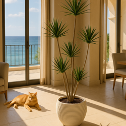Dracaena Marginata Tree- 1.8m with 5 heads  - artificial plants, flowers & trees - image 5